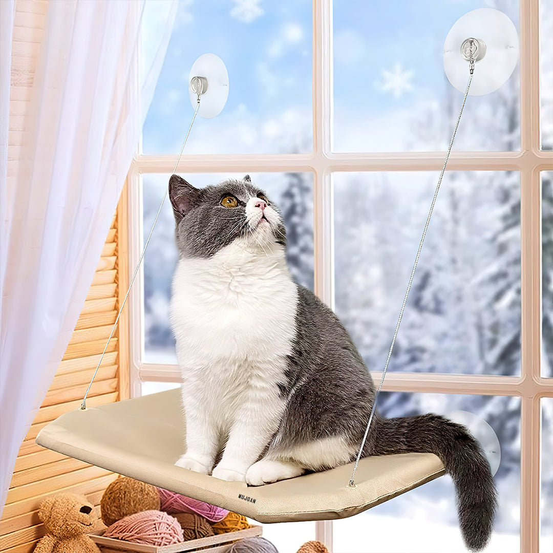 Comfortable Window Mounted Cat Hammock for Pet Relaxation